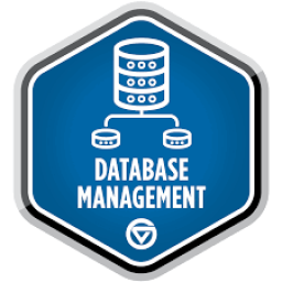 Database Administrator (DBA)